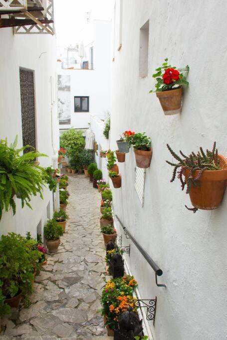Apartament Casa Anicca Vejer de la Frontera Zewnętrze zdjęcie